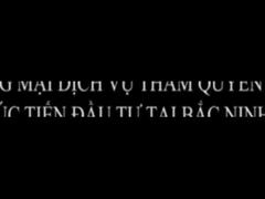 Introducción de la empresa